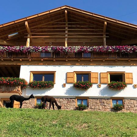B&B Belvedere Daiano Dış mekan fotoğraf