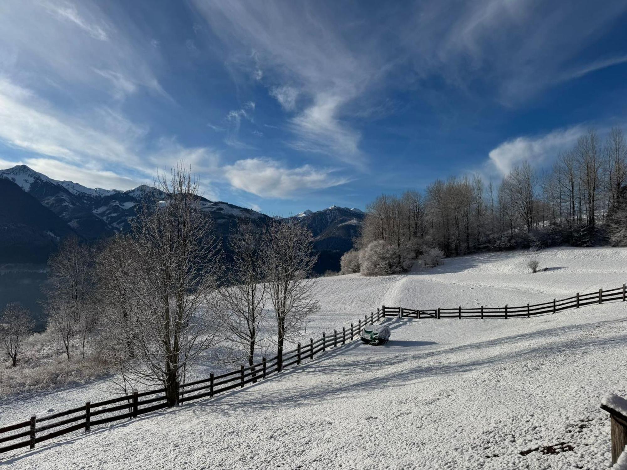 B&B Belvedere Daiano Dış mekan fotoğraf